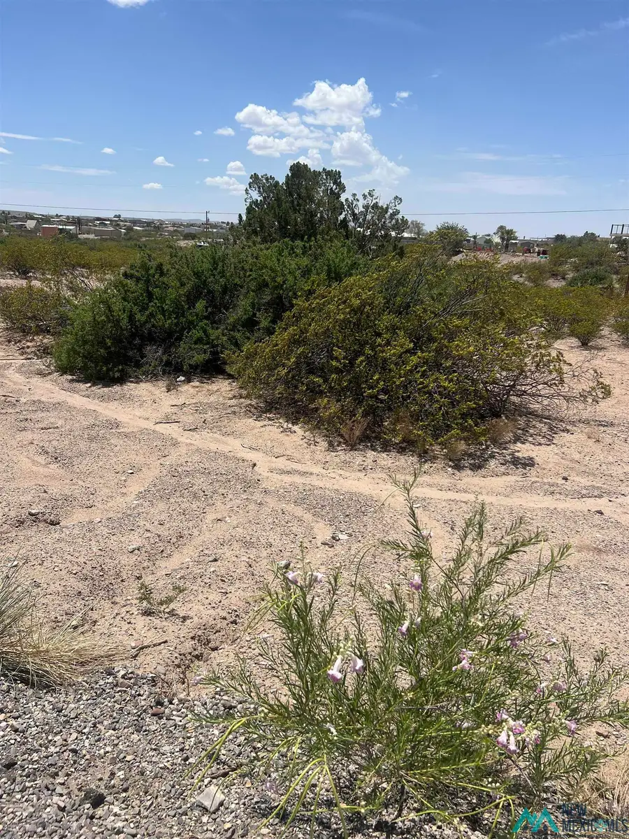 200 Springland Boulevard, Elephant Butte, NM 87935 - Image #2