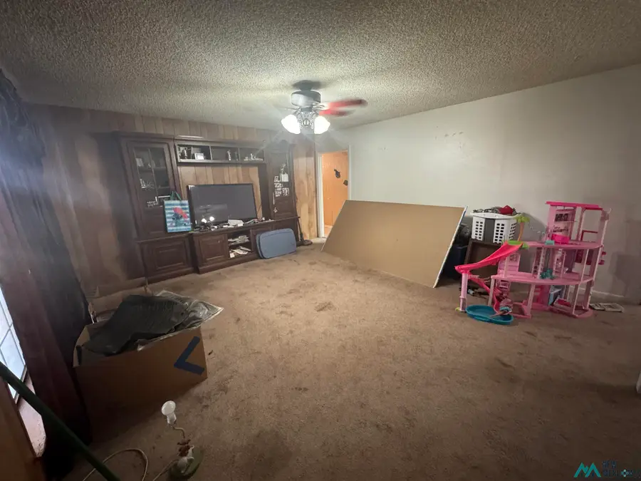310 S Tenth Street, Carlsbad, NM 88220 - Image #3