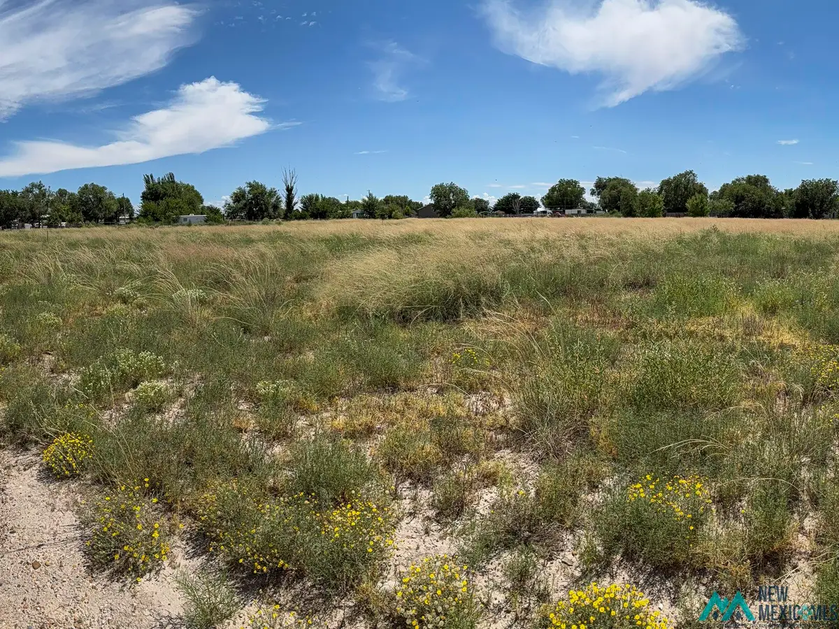 00 Ocotillo Avenue, Roswell, NM 88201 - Image #1