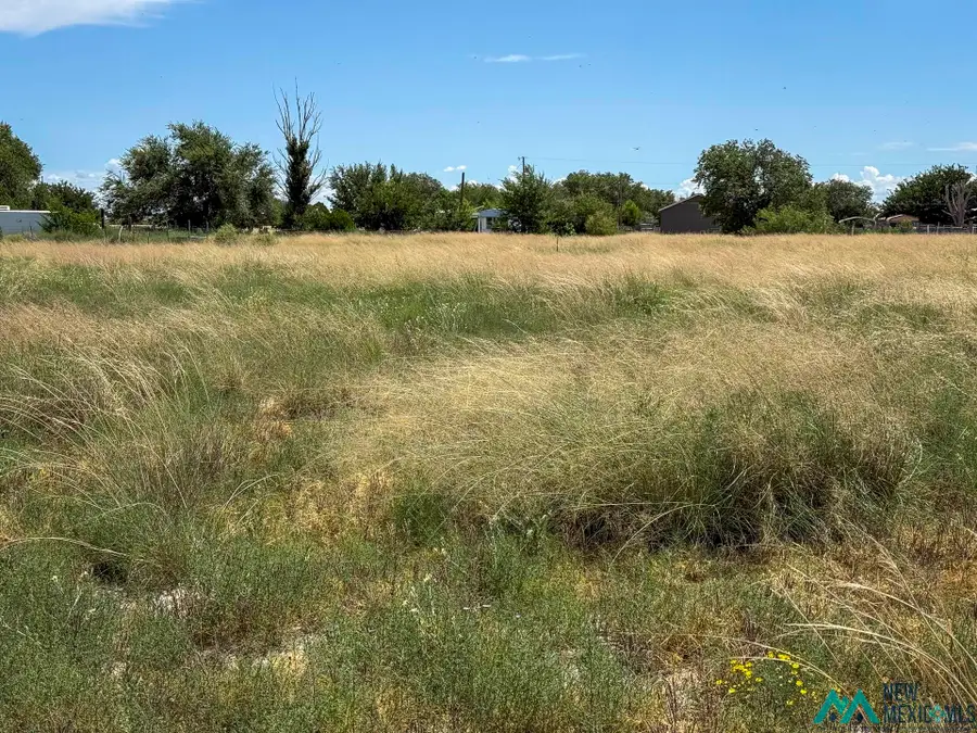 00 Ocotillo Avenue, Roswell, NM 88201 - Image #2