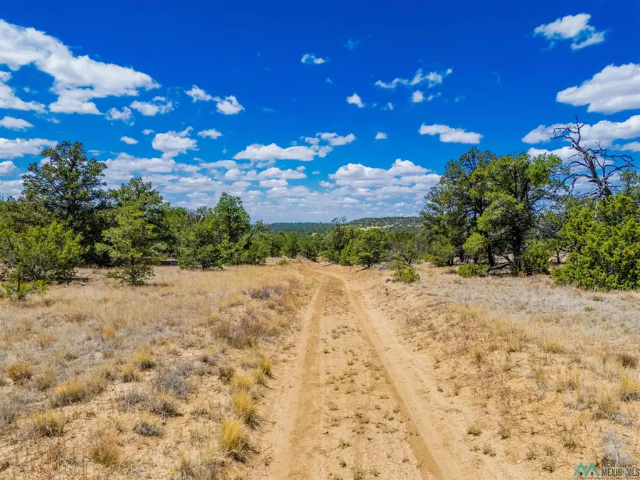 LOT 9 Jackrabbit Trail, Pinehill, NM 87357 - Image #3