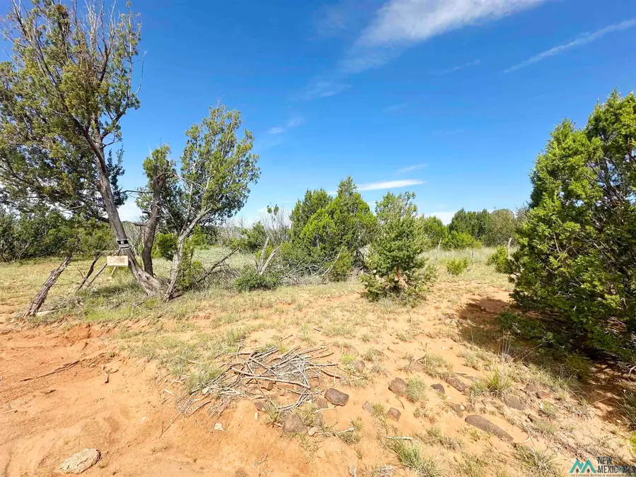 10 Acres On County Road B26d, Serafina, NM 87569 - Image #3