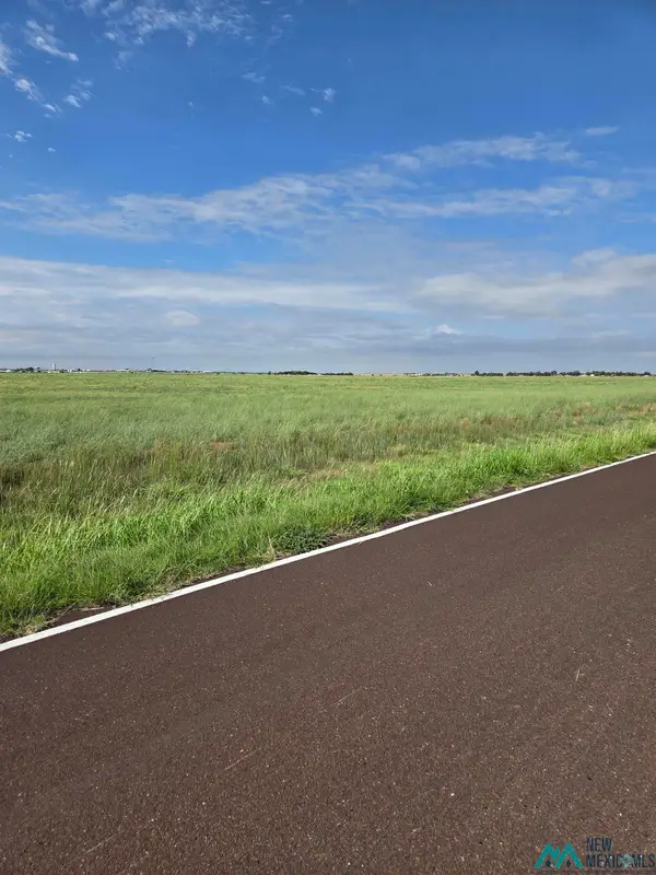 Tract 13 Cr I Road, Clovis, NM 88101