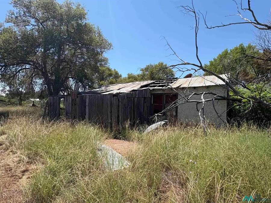 2 E Avenue C Ave, Fort Sumner, NM 88119 - #2