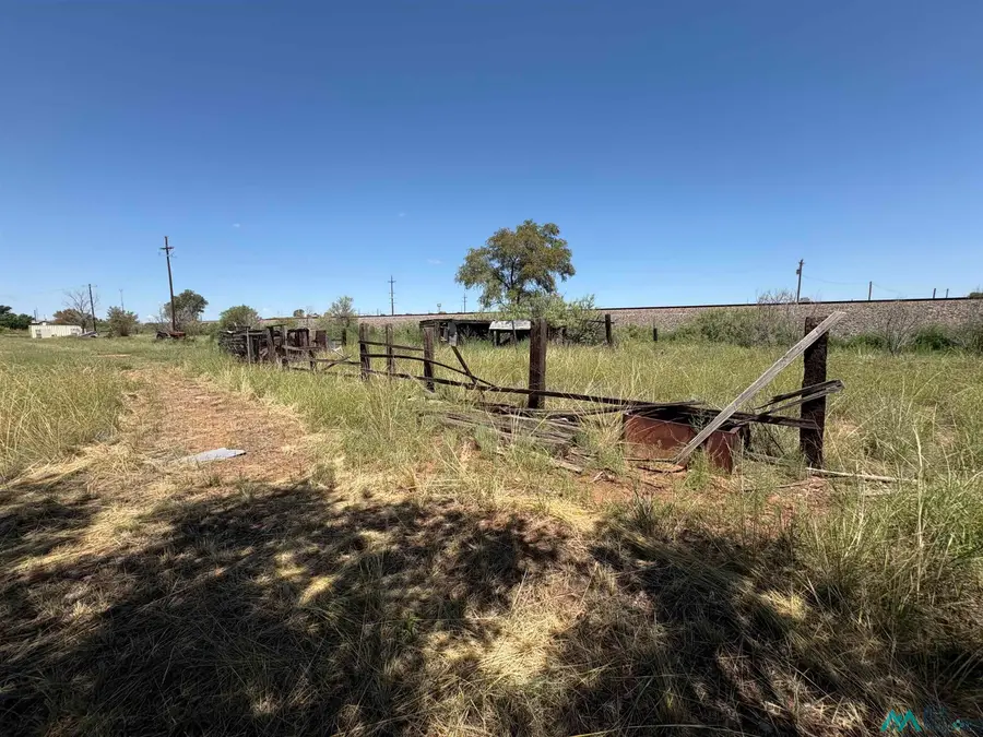 2 E Avenue C Ave, Fort Sumner, NM 88119 - #3