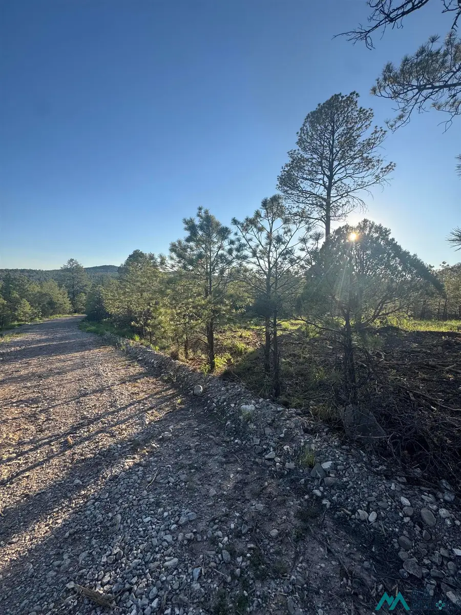 Lot 12 & 19 Rio Pinar Drive, Timberon, NM 88350 - Image #2