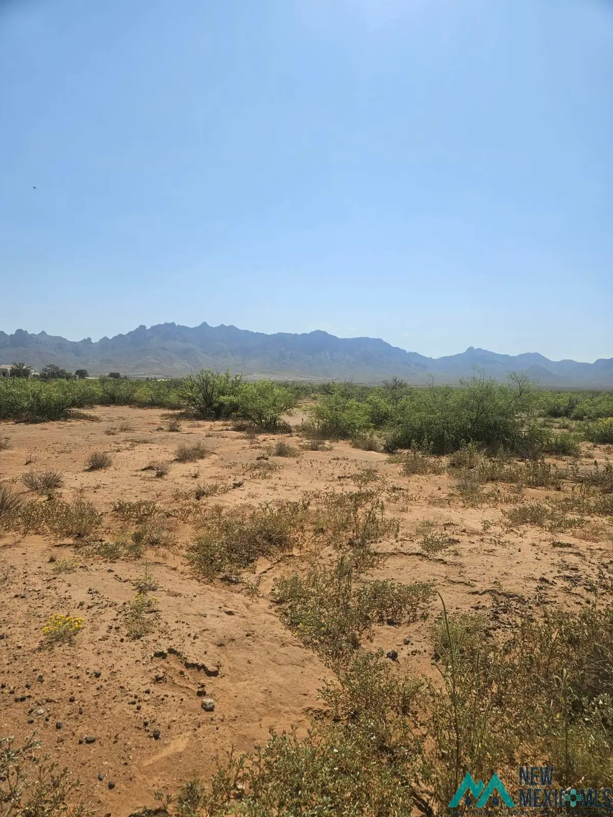 XXX Briar Rd Se, Deming, NM 88030 - Image #1