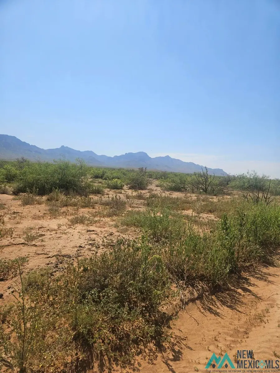 XXX Briar Rd Se, Deming, NM 88030 - Image #2