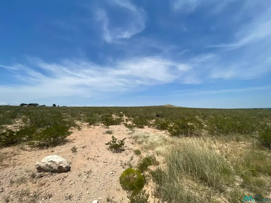 0000 Piedra Grande, Roswell, NM 88201 - Image #2