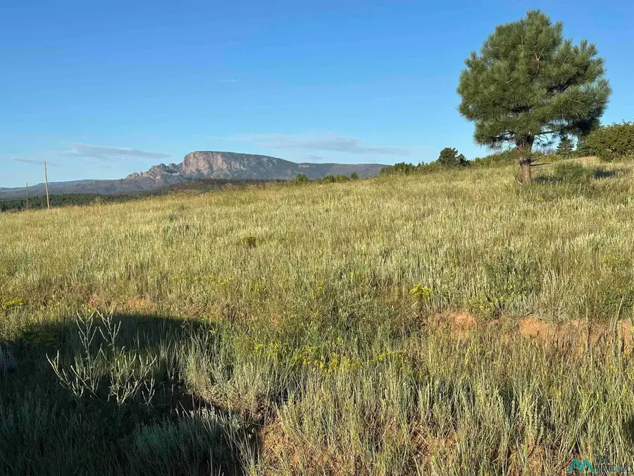 434 Nm Hwy 94, Sapello, NM 87745 - Image #2