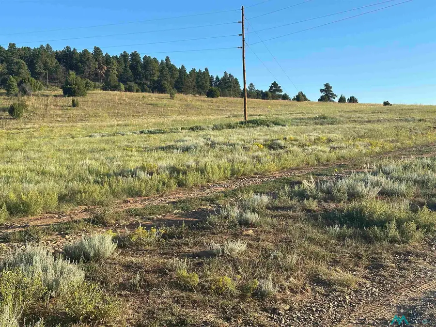 434 Nm Hwy 94, Sapello, NM 87745 - Image #3
