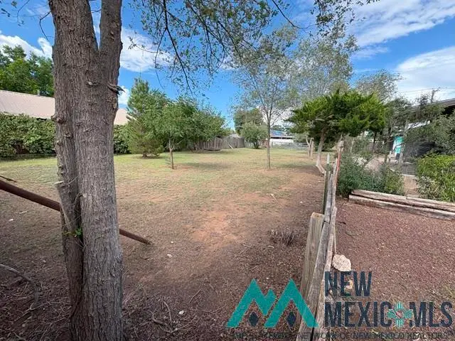 1009 S Main, Portales, NM 88130 - Image #3