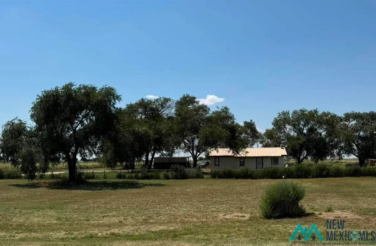 7678 Hwy 206 Highway, Portales, NM 88130 - #1