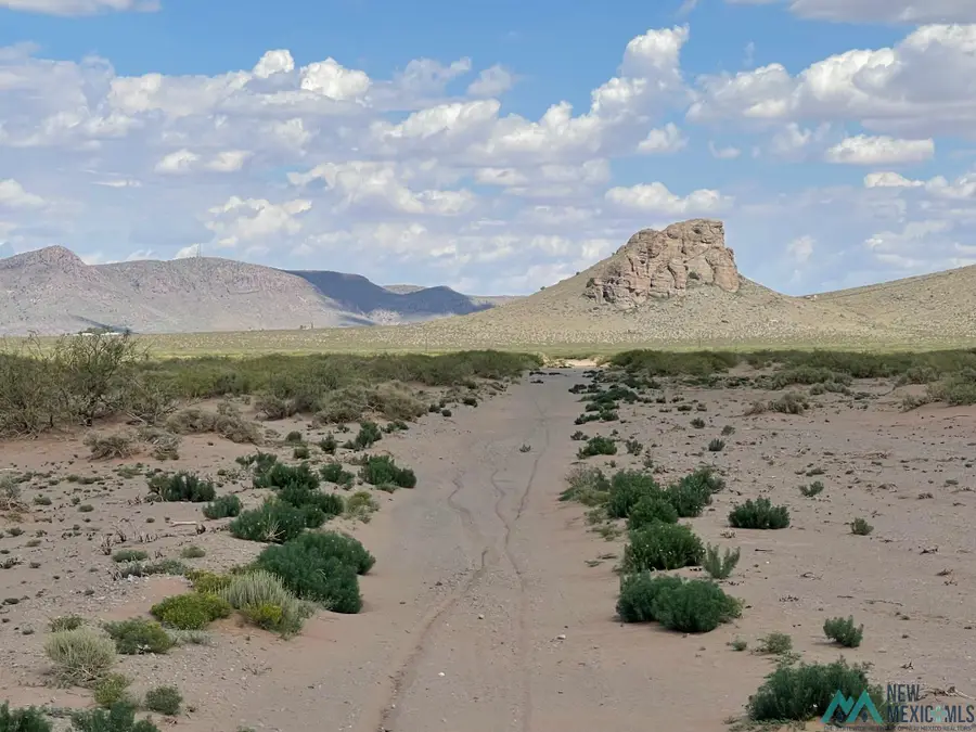 XXXX Tamarack Rd Se, Deming, NM 88030 - Image #2