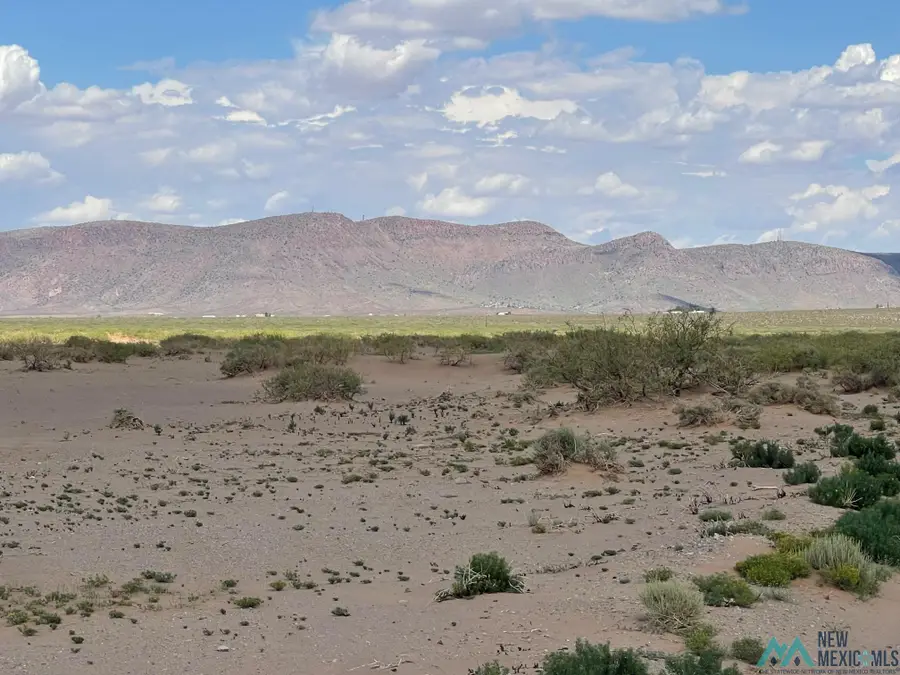 XXXX Tamarack Rd Se, Deming, NM 88030 - Image #3