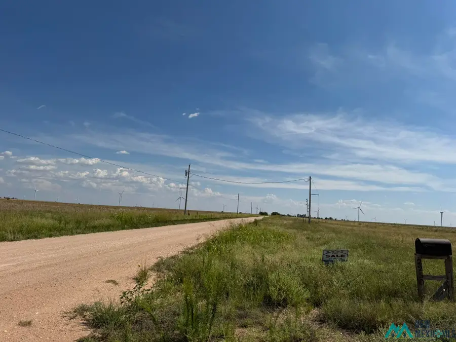 2250 S Roosevelt Road K Road, Rogers, NM 88132 - Image #2