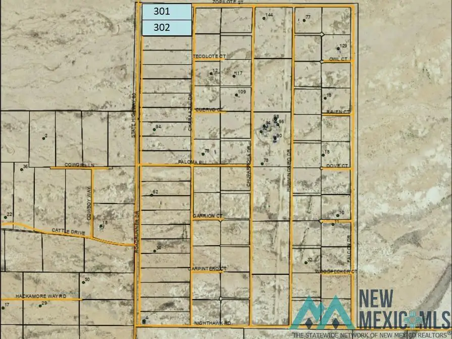 TBD Zopilote Road, Rodeo, NM 88056 - Image #3