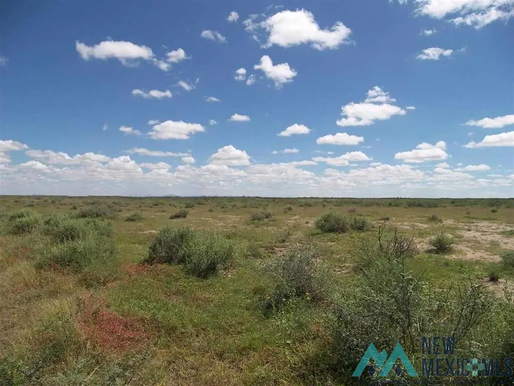 XXXX Lalo Rd Se, Deming, NM 88030 - Image #1
