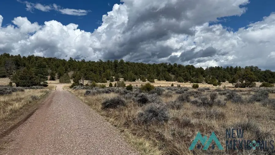 8 E Lobo Road, Ramah, NM 87321 - Image #3