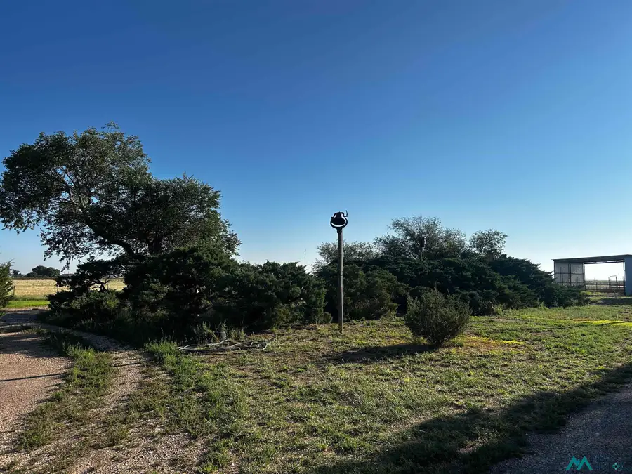567 Nm Hwy 88, Portales, NM 88130 - Image #2