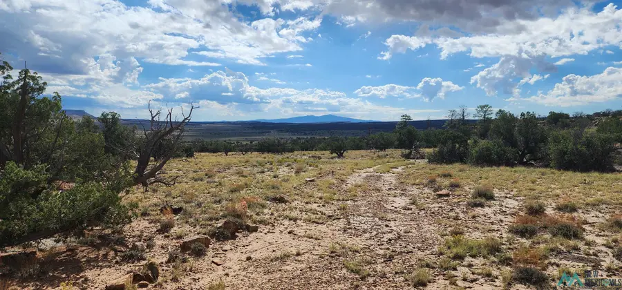 Lot 2 Red Rock Ranches, Prewitt, NM 87045 - Image #2