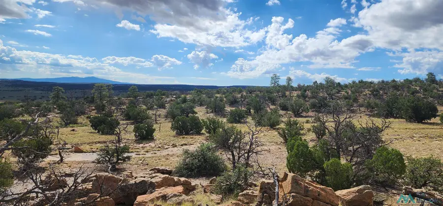 Lot 2 Red Rock Ranches, Prewitt, NM 87045 - Image #3