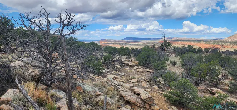 Lot 17 Red Rock Ranches, Prewitt, NM 87345 - Image #2