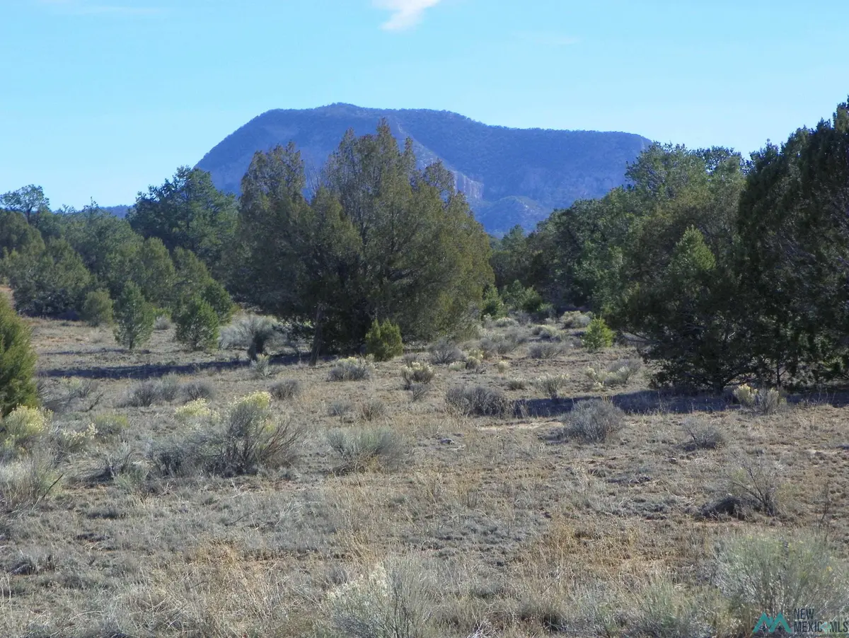 78 E Sawtooth Drive, Pie Town, NM 87827 - Image #1