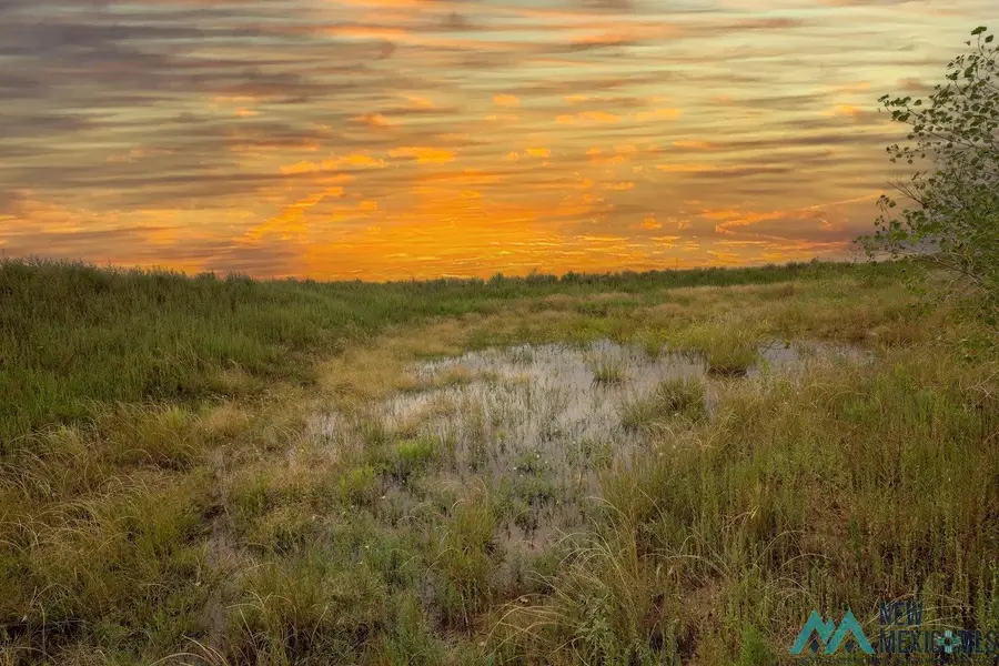 3624 Curry 12 Road, Melrose, NM 88124 - Image #2