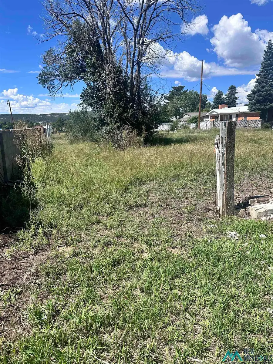 2041 7th Street, Las Vegas, NM 5 - Image #3