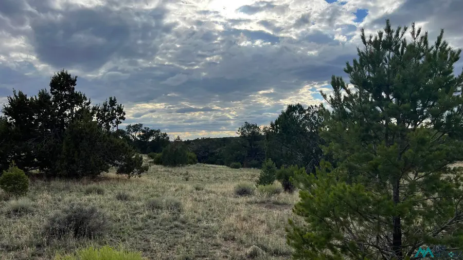 Warpath Rd Road, Quemado, NM 87829 - Image #2