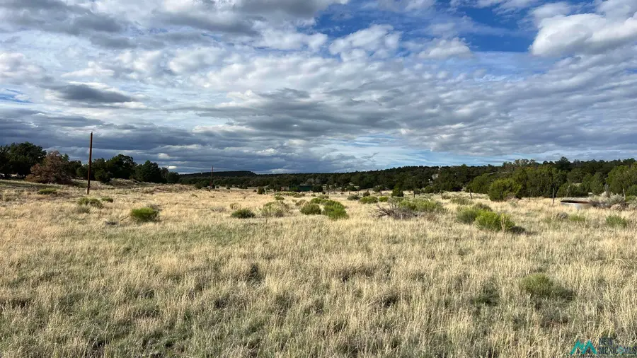 Warpath Rd Road, Quemado, NM 87829 - Image #3