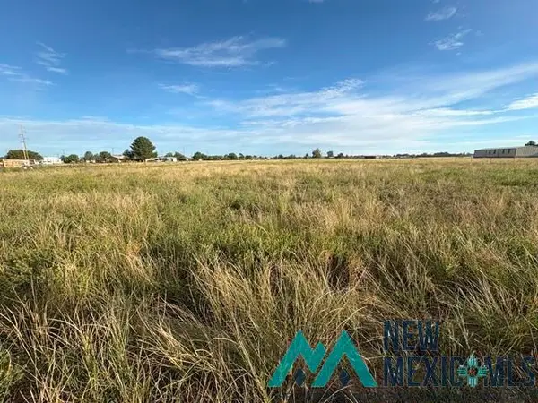 000 E Amazon, Portales, NM 88130