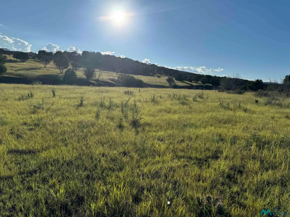 665 Us Highway 380 Highway, Capitan, NM 88316 - Image #1