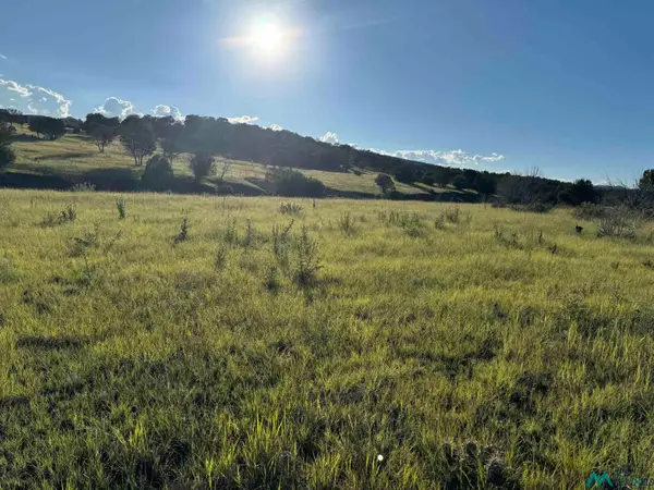 665 Us Highway 380 Highway, Capitan, NM 88316