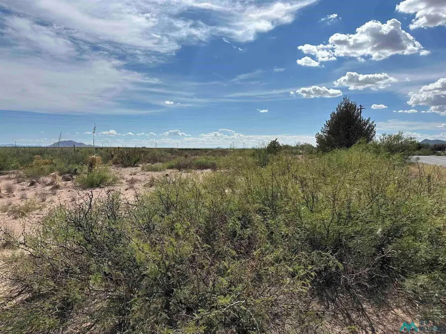 1980 Apache Hills Drive Ne, Deming, NM 88030 - Image #2