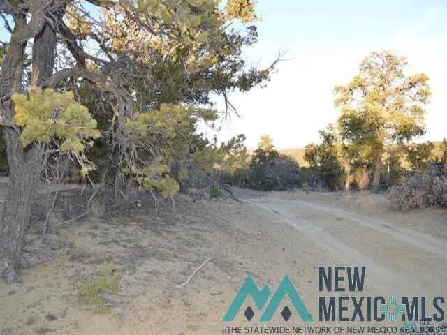 LOT 18 Tbd Rockwood Road, Candy Kitchen, NM 87357 - Image #3