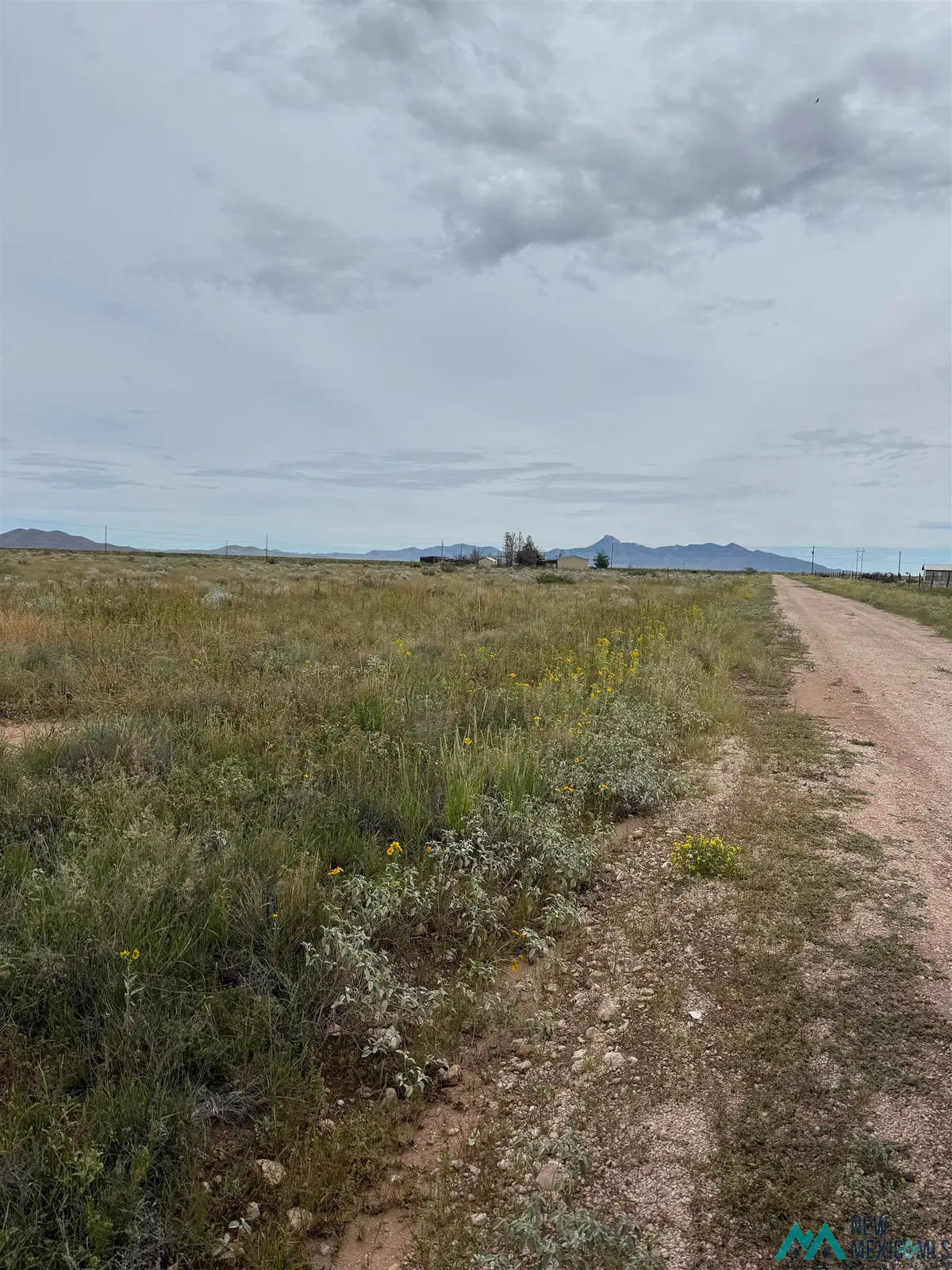 XXXX Forsyth Road, Deming, NM 88030 - Image #1