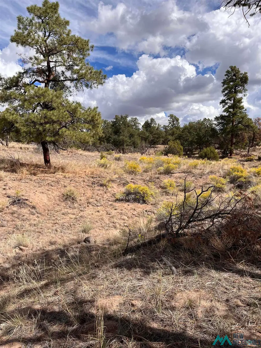 100 Canyon Crossing Drive, Quemado, NM 87829 - Image #2