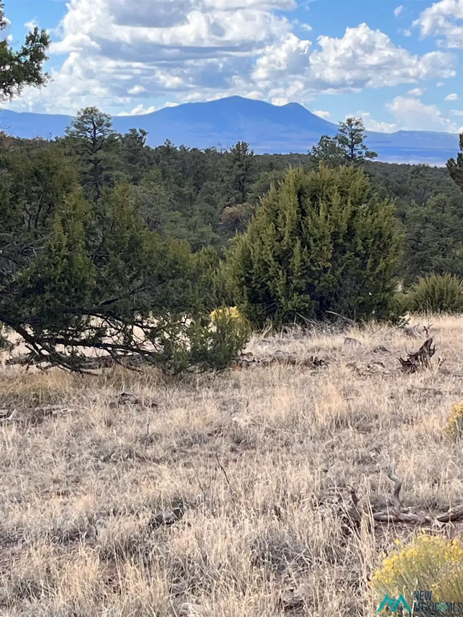 100 Canyon Crossing Drive, Quemado, NM 87829 - Image #3