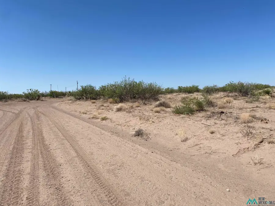 000 SW Marengo Road, Deming, NM 88030 - Image #2