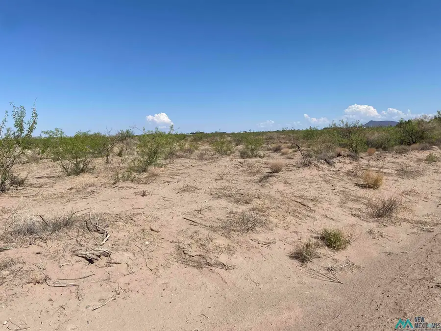 000 SW Marengo Road, Deming, NM 88030 - Image #3