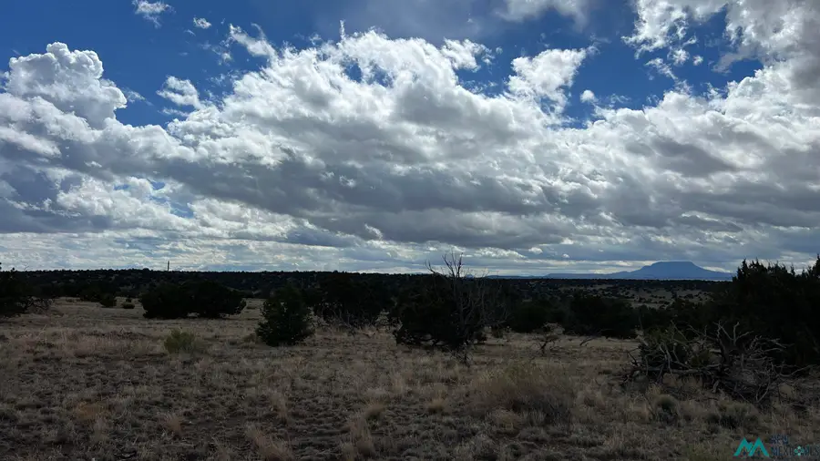 32 Horseshoe Trail Road, Quemado, NM 87829 - Image #3