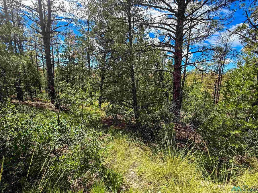 Lot 20 Marlin Drive, Timberon, NM 88350 - Image #3
