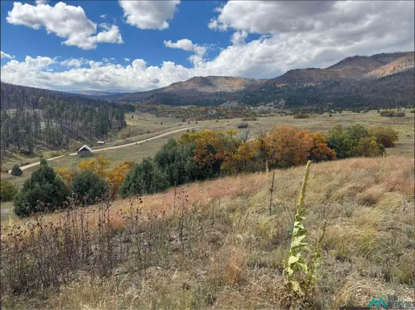 21.745 Los Alamitos Road, Chacon, NM 87713