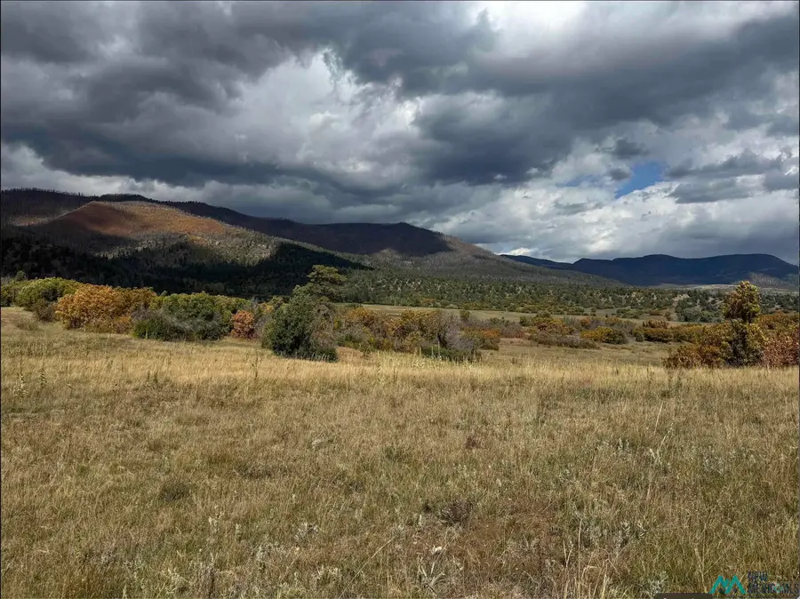 21.745 Los Alamitos Road, Chacon, NM 87713 - Image #2