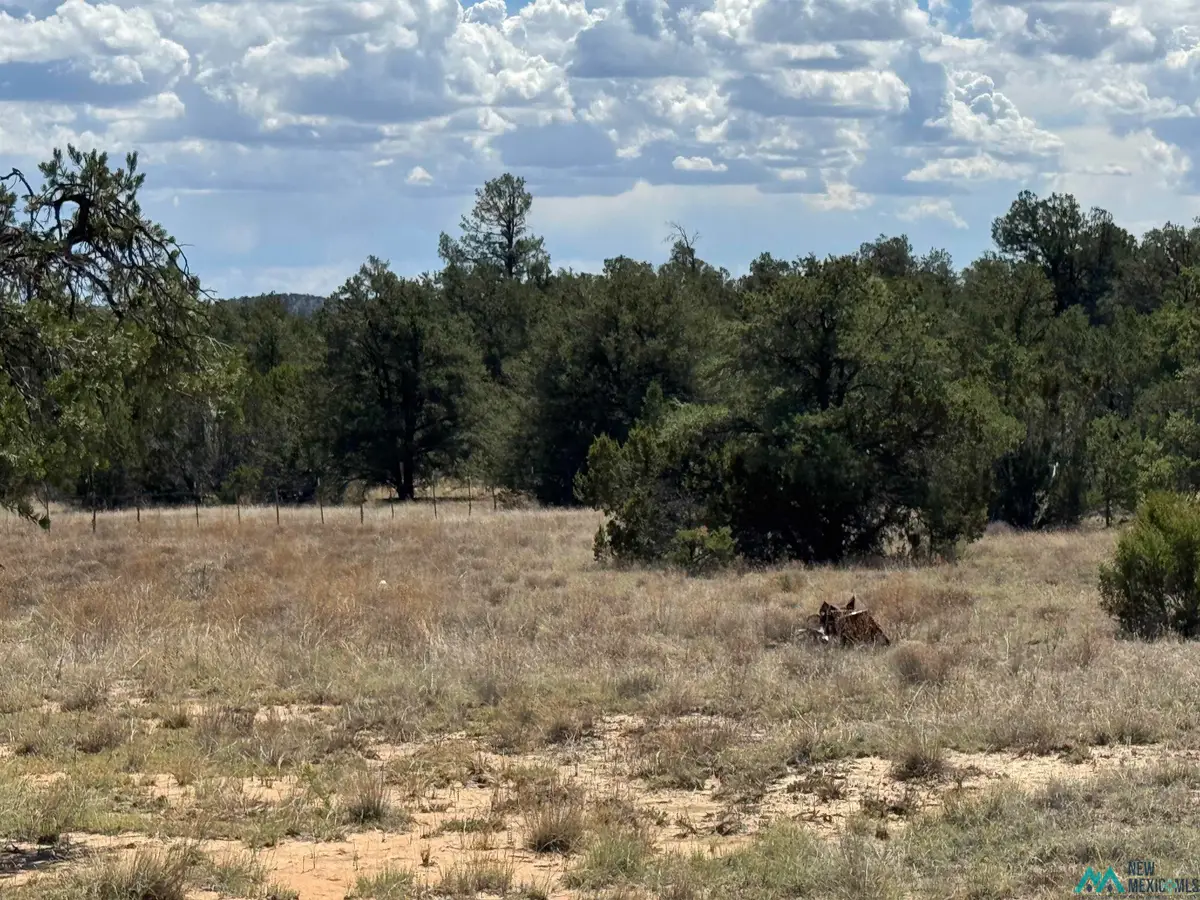 13 Davids Rock Road, Candy Kitchen, NM 87357 - Image #1