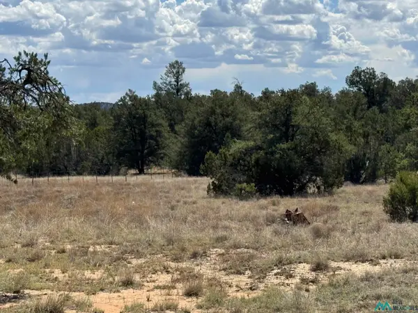 13 Davids Rock Road, Candy Kitchen, NM 87357