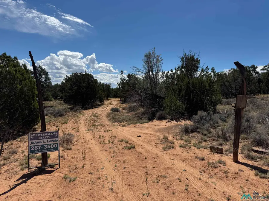 13 Davids Rock Road, Candy Kitchen, NM 87357 - Image #3