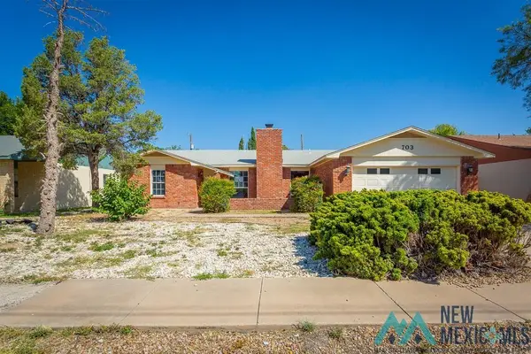 703 E Mescalero Road, Roswell, NM 88201